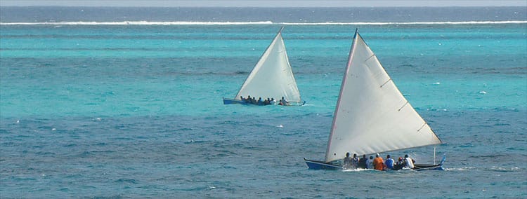 CatBoats_Horizonte