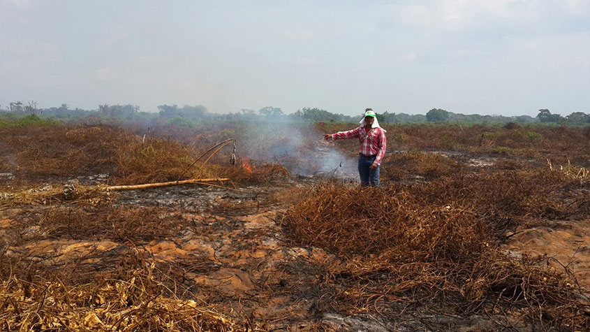 Incendio-Rincon-Guapo